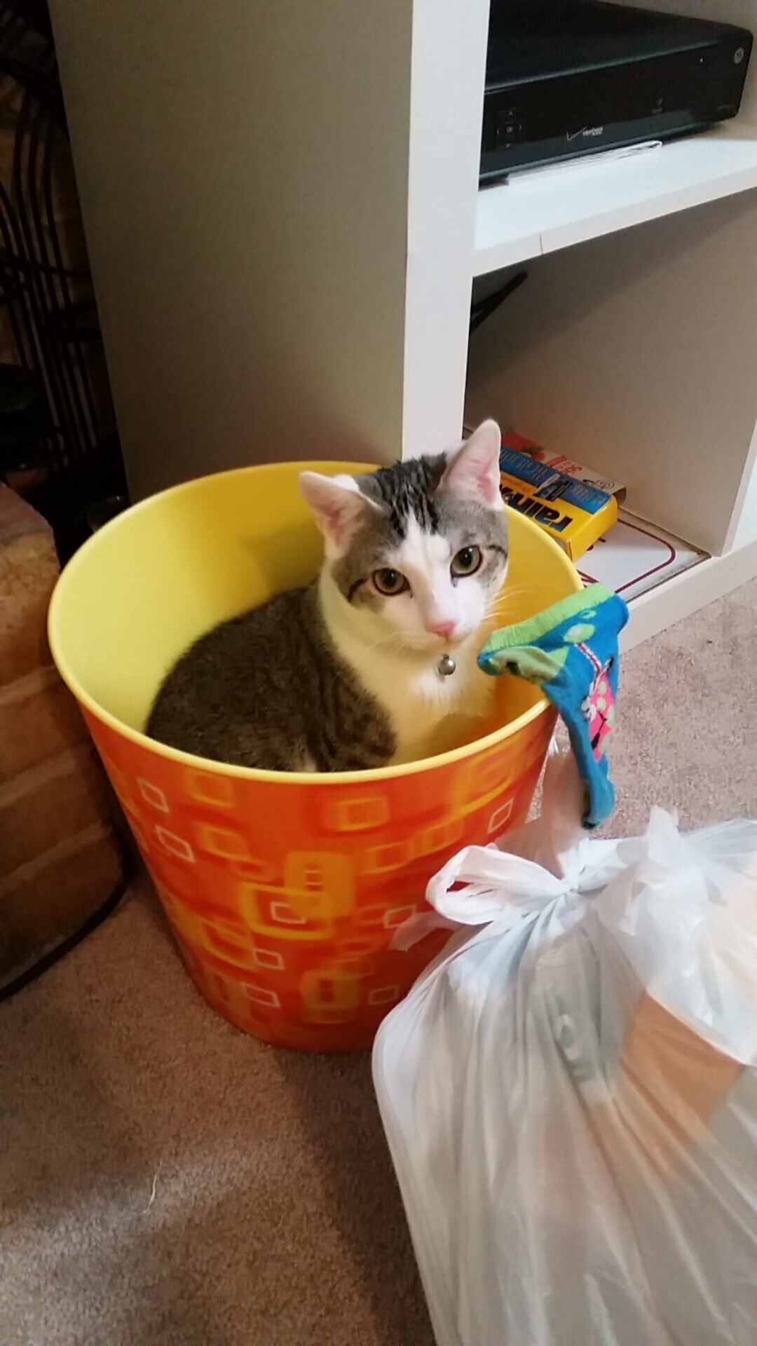 MILANSPORT入口-切尔西球员纪律严明，无红黄牌困扰，切尔西球员大全