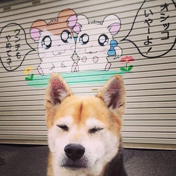 Milan Sports-奥预赛中国青年队战胜 球迷期待未来表现，2021奥预赛