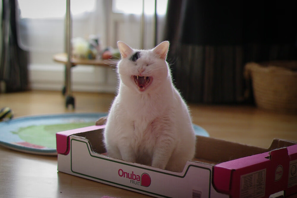 米兰体育APP-控卫节奏控制力是否决定轮换阵容衔接顺利，控卫打法