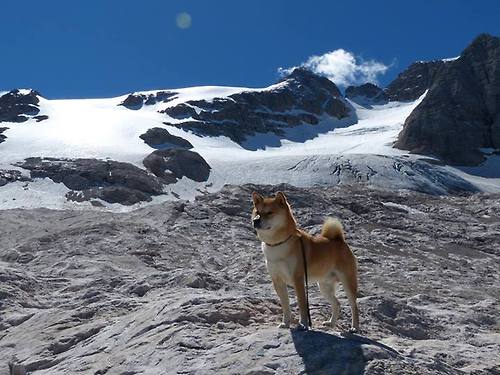 Milan Sports-球队是否构建以空间结构应对密集防守的新思维，球队组建方案