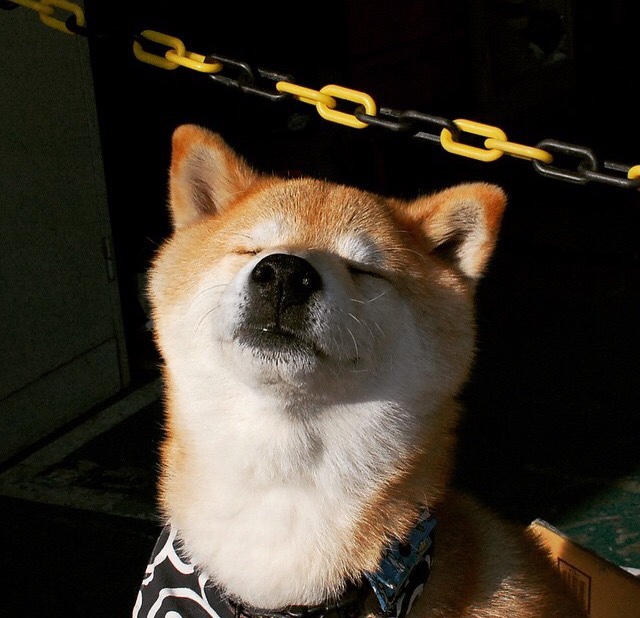 MILANSPORT下载-中国足球国家队总结战术失误案例强化应对策略，足球重大失误