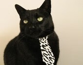 -女篮青年队增加快攻训练提升比赛节奏,青年女子篮球