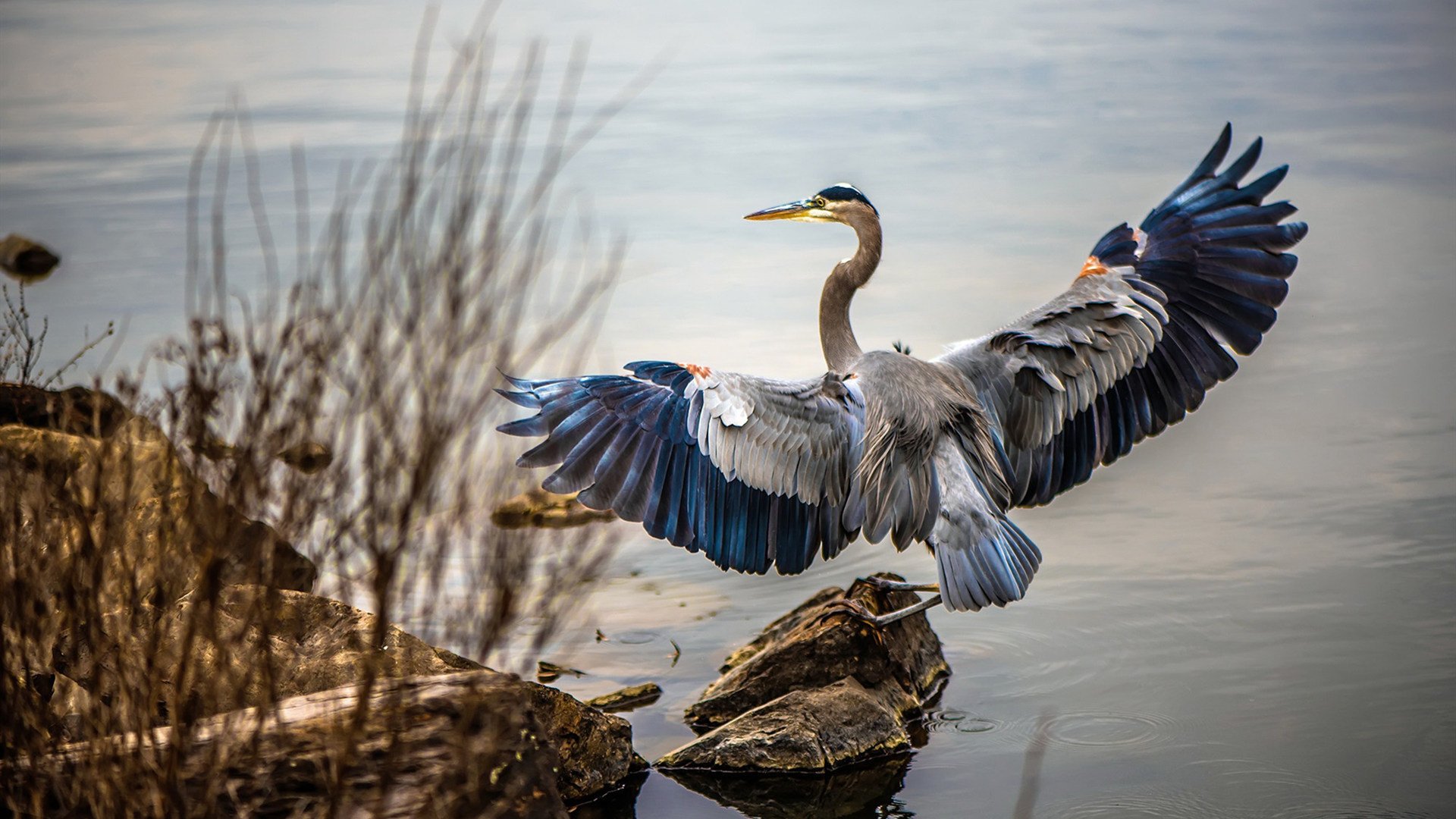 米兰体育官网-拉文数据爆表公牛东部前四稳固，公牛东部第一