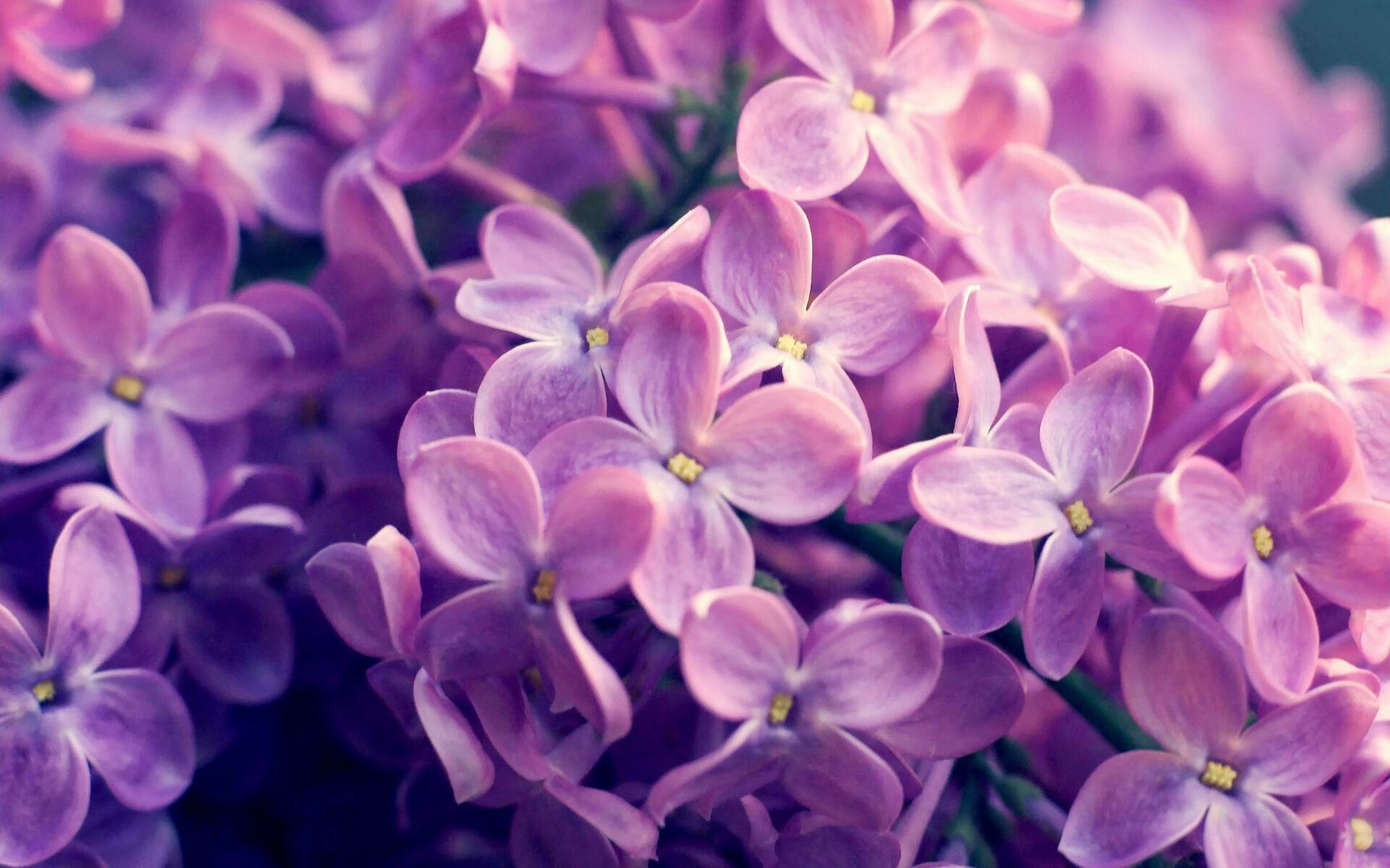 米兰体育APP-Marie Fischer 爆发力惊人突破防线