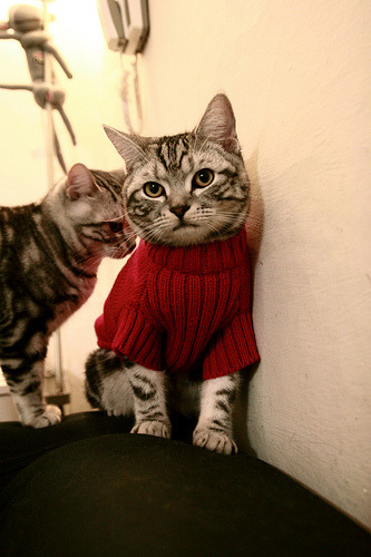 米兰体育APP-《冠军奥运篇》韩旭谈奥运会的无悔决心，奥运女篮韩旭