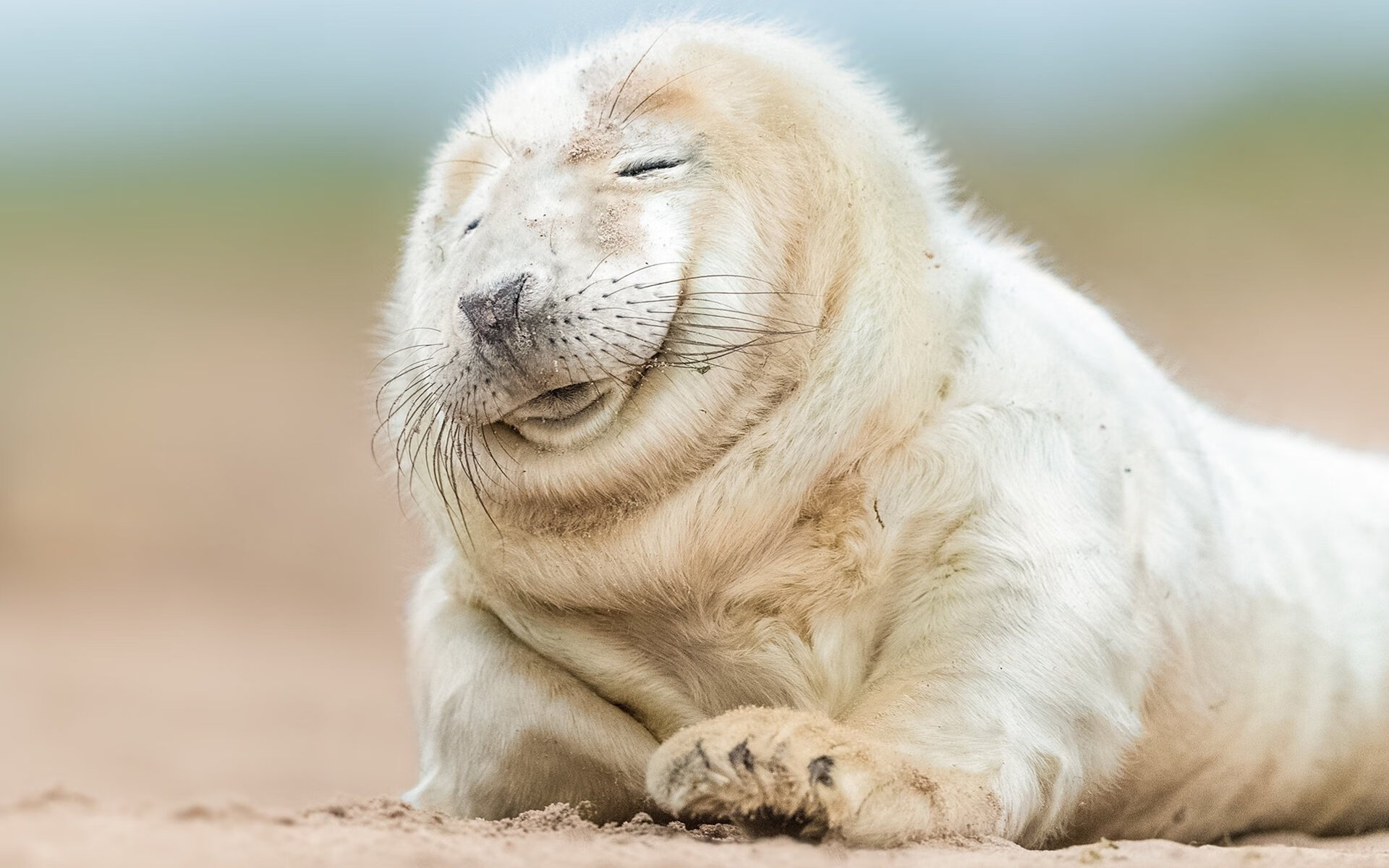 Milan Sports-中国停购美豆4个月，贸易关系紧张加剧，中国还在买美国大豆吗